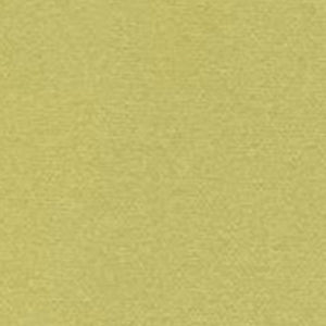 35D Lightweight Polyester Fabric For Jacket
