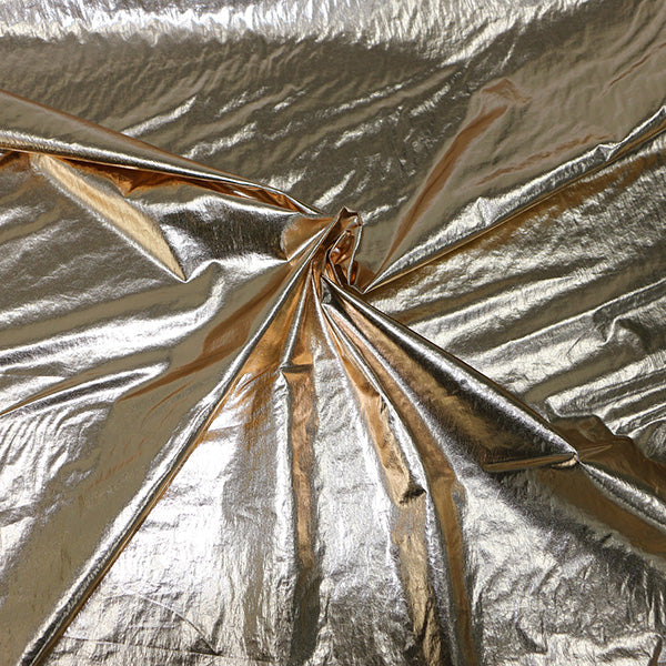 Nylon Taffeta Foiled fabric