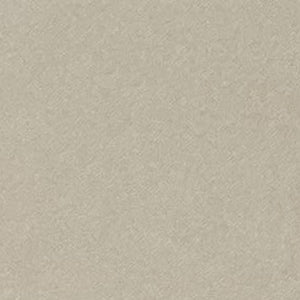 Polyester Pongee Fabric High-Quality Pongee Material Water-Resistant Pongee