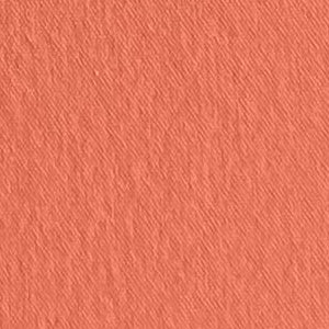 40D Nylon 4-Way Spandex Soft and Smooth Texture Lightweight Fabric