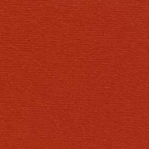 70D Nylon 4-Way Spandex Wrinkle-Resistant Silky Feel Fabric