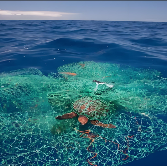 How Ocean-Bound Recycled Polyester Fabric Is Made | OBP Fabric Manufacturer