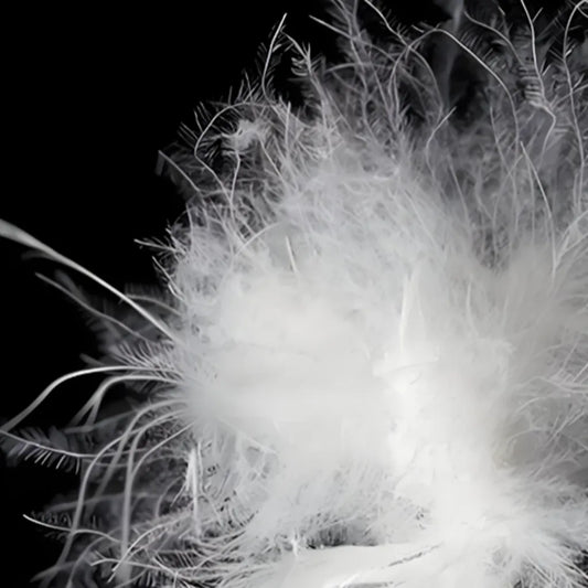 Down Jacket vs Synthetic Insulated Jacket: What’s the Difference?