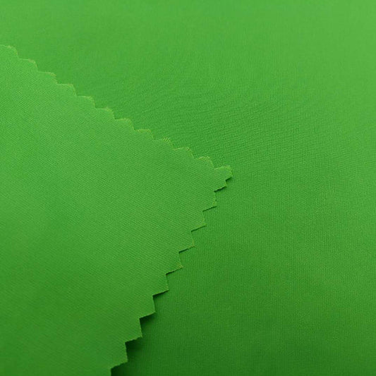 Nylon Taffeta fabric